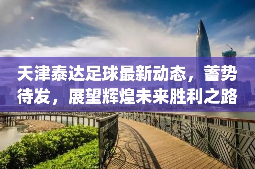 天津泰達(dá)足球最新動(dòng)態(tài)，蓄勢(shì)待發(fā)，展望輝煌未來(lái)勝利之路