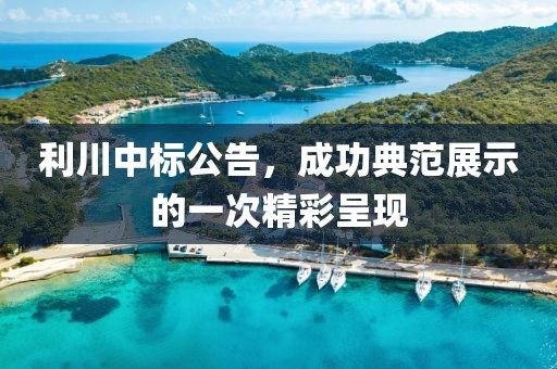 利川中標(biāo)公告，成功典范展示的一次精彩呈現(xiàn)