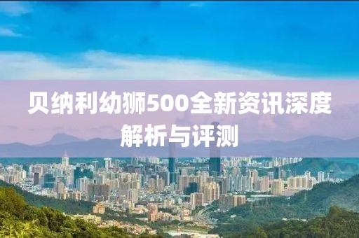 貝納利幼獅500全新資訊深度解析與評(píng)測(cè)