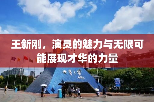 王新剛，演員的魅力與無限可能展現(xiàn)才華的力量