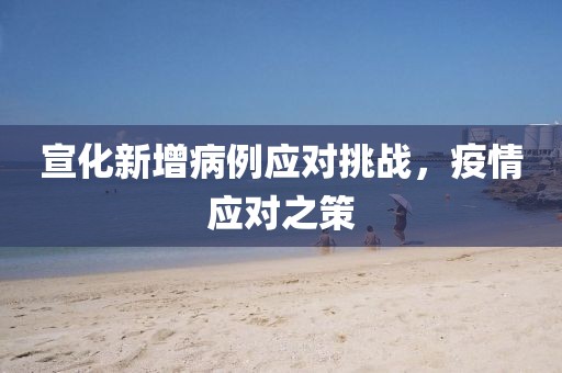 宣化新增病例應(yīng)對(duì)挑戰(zhàn)，疫情應(yīng)對(duì)之策