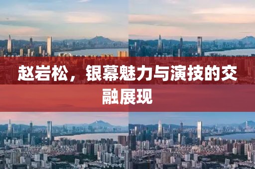 趙巖松，銀幕魅力與演技的交融展現(xiàn)