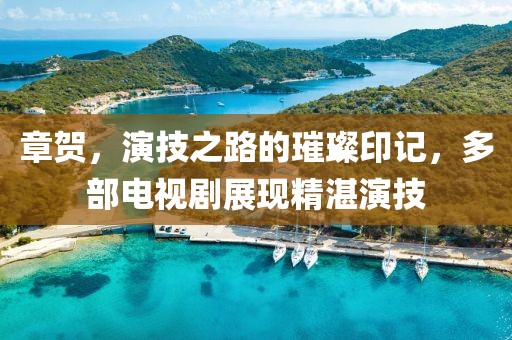 章賀，演技之路的璀璨印記，多部電視劇展現(xiàn)精湛演技