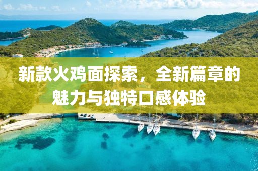 新款火雞面探索，全新篇章的魅力與獨(dú)特口感體驗(yàn)