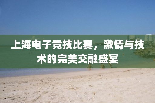 上海電子競(jìng)技比賽，激情與技術(shù)的完美交融盛宴