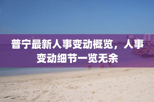 普寧最新人事變動概覽，人事變動細(xì)節(jié)一覽無余