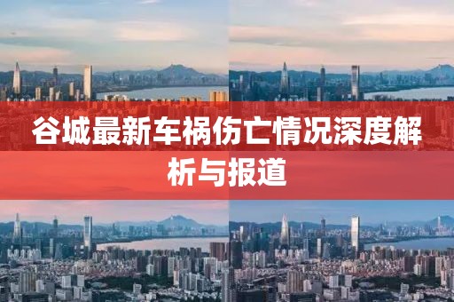 谷城最新車禍傷亡情況深度解析與報道