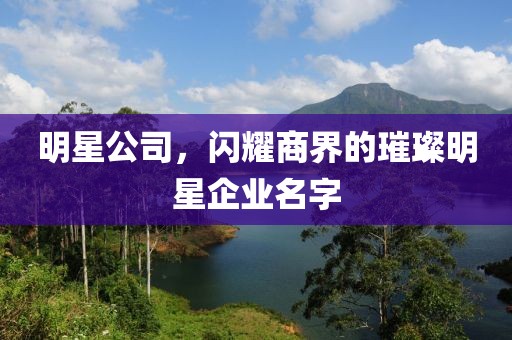 明星公司，閃耀商界的璀璨明星企業(yè)名字