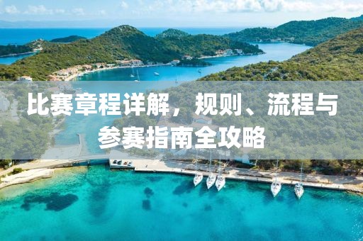 比賽章程詳解，規(guī)則、流程與參賽指南全攻略