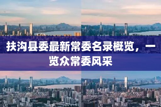 扶溝縣委最新常委名錄概覽，一覽眾常委風采