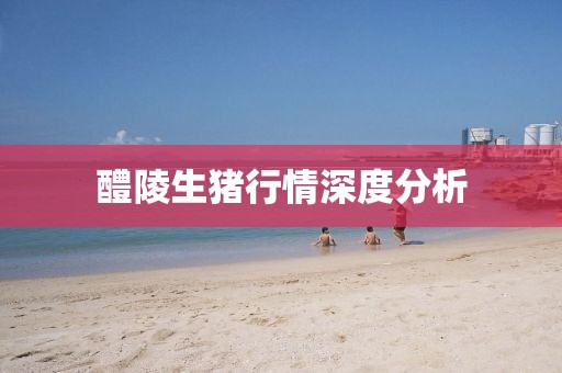 醴陵生豬行情深度分析
