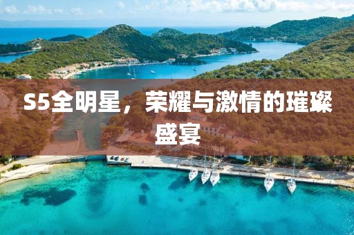 S5全明星，榮耀與激情的璀璨盛宴