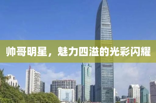 帥哥明星，魅力四溢的光彩閃耀