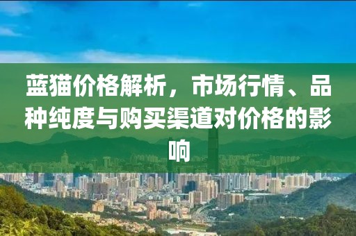 藍(lán)貓價(jià)格解析，市場(chǎng)行情、品種純度與購(gòu)買渠道對(duì)價(jià)格的影響
