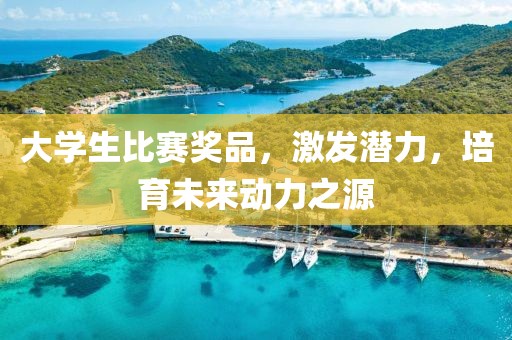大學(xué)生比賽獎(jiǎng)品，激發(fā)潛力，培育未來動(dòng)力之源