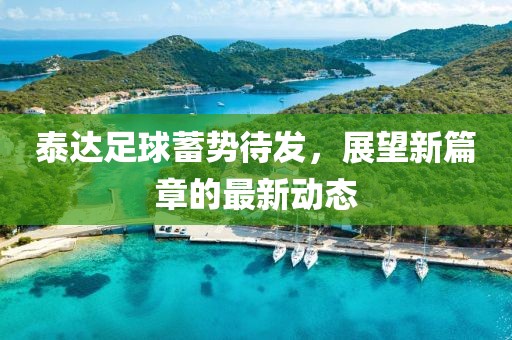 泰達足球蓄勢待發(fā)，展望新篇章的最新動態(tài)