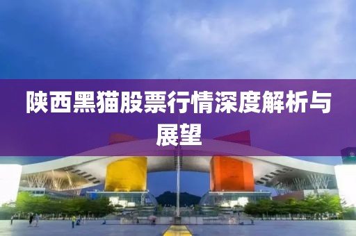 陜西黑貓股票行情深度解析與展望