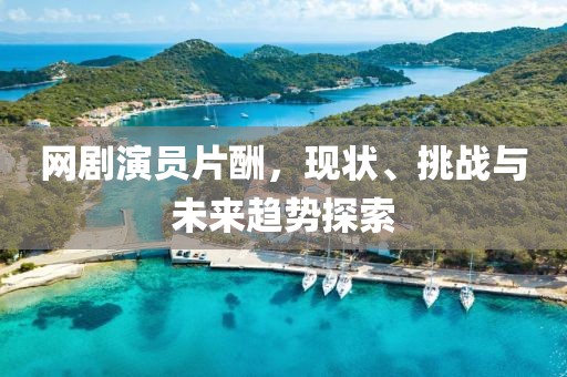 網(wǎng)劇演員片酬，現(xiàn)狀、挑戰(zhàn)與未來趨勢探索