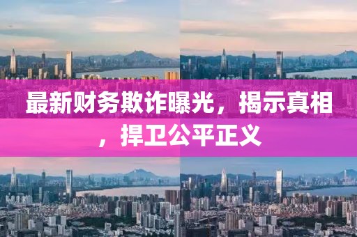 最新財務(wù)欺詐曝光，揭示真相，捍衛(wèi)公平正義