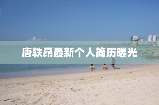 唐軼昂最新個人簡歷曝光