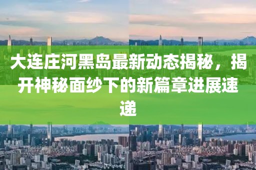 大連莊河黑島最新動態(tài)揭秘，揭開神秘面紗下的新篇章進(jìn)展速遞
