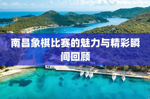 南昌象棋比賽的魅力與精彩瞬間回顧