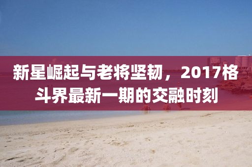 新星崛起與老將堅(jiān)韌，2017格斗界最新一期的交融時(shí)刻