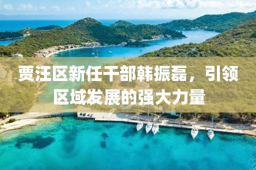 賈汪區(qū)新任干部韓振磊，引領(lǐng)區(qū)域發(fā)展的強大力量