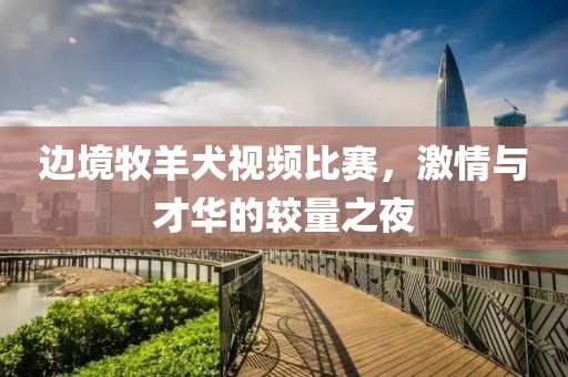 邊境牧羊犬視頻比賽，激情與才華的較量之夜