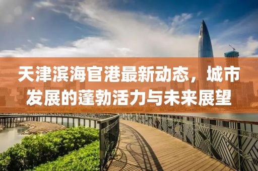 天津濱海官港最新動態(tài)，城市發(fā)展的蓬勃活力與未來展望