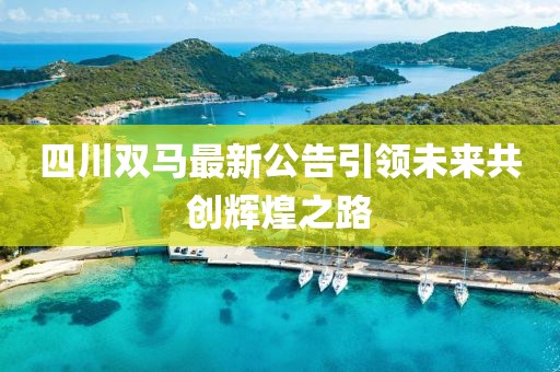 四川雙馬最新公告引領(lǐng)未來(lái)共創(chuàng)輝煌之路