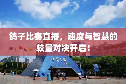 鴿子比賽直播，速度與智慧的較量對決開啟！