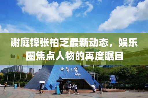 謝庭鋒張柏芝最新動態(tài)，娛樂圈焦點人物的再度矚目