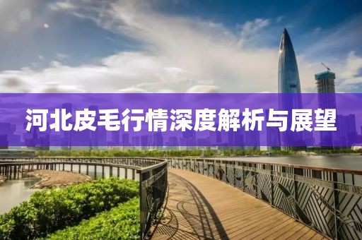 河北皮毛行情深度解析與展望