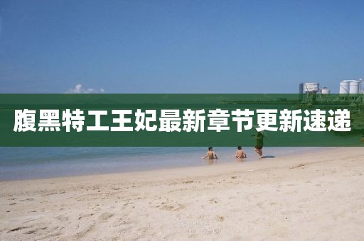 腹黑特工王妃最新章節(jié)更新速遞
