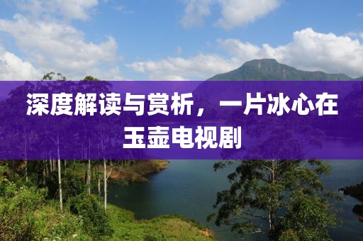 深度解讀與賞析，一片冰心在玉壺電視劇