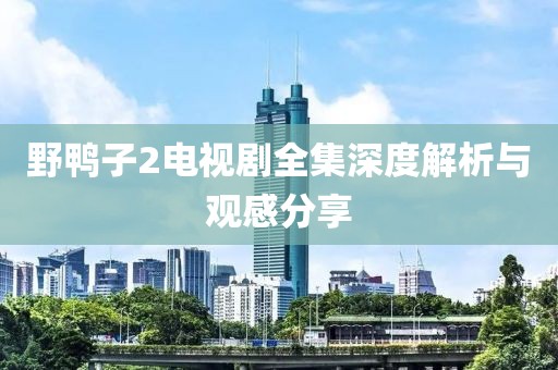 野鴨子2電視劇全集深度解析與觀感分享