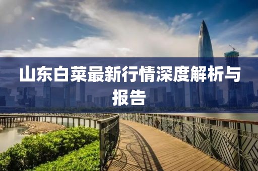 山東白菜最新行情深度解析與報告
