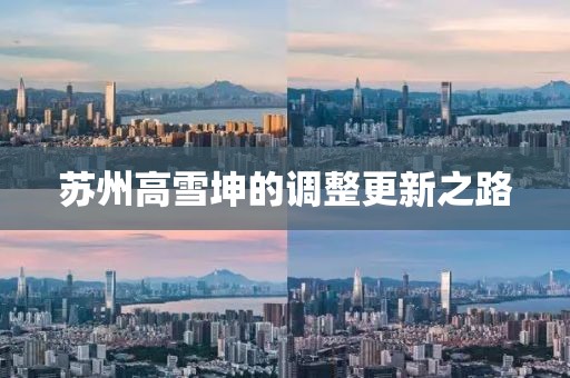 蘇州高雪坤的調(diào)整更新之路