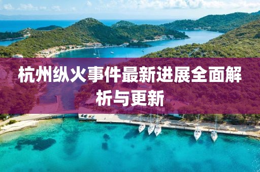 杭州縱火事件最新進展全面解析與更新