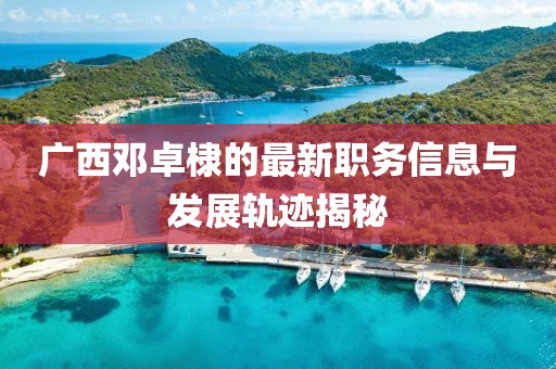 廣西鄧卓棣的最新職務(wù)信息與發(fā)展軌跡揭秘