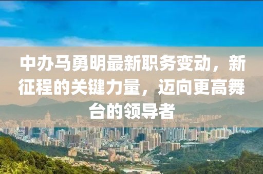 中辦馬勇明最新職務變動，新征程的關鍵力量，邁向更高舞臺的領導者