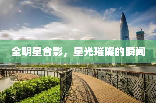 全明星合影，星光璀璨的瞬間
