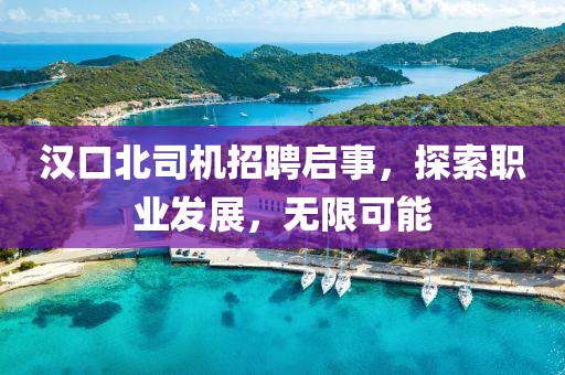 漢口北司機(jī)招聘啟事，探索職業(yè)發(fā)展，無(wú)限可能