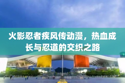 火影忍者疾風(fēng)傳動漫，熱血成長與忍道的交織之路