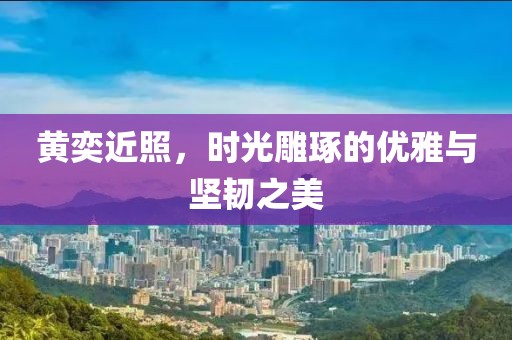 白云下的棉絮 第7頁(yè)