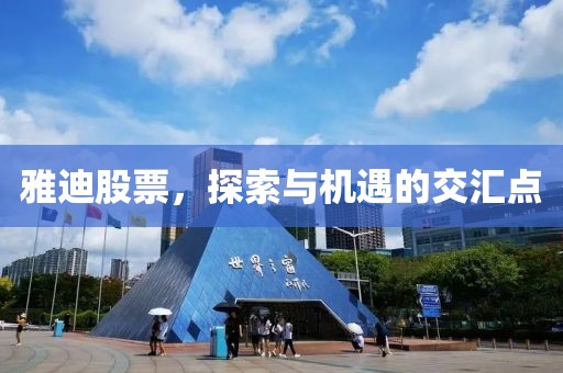 雅迪股票，探索與機(jī)遇的交匯點(diǎn)
