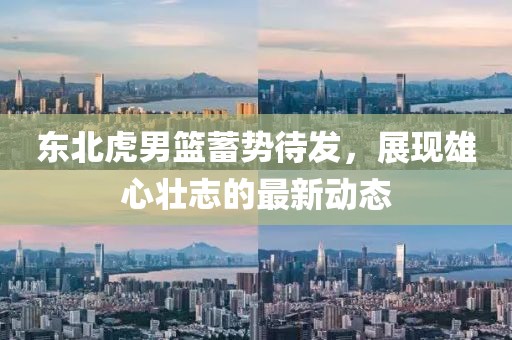 東北虎男籃蓄勢(shì)待發(fā)，展現(xiàn)雄心壯志的最新動(dòng)態(tài)