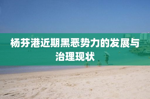 楊芬港近期黑惡勢力的發(fā)展與治理現狀