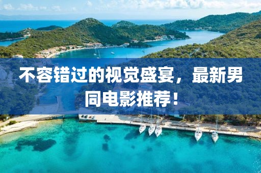 不容錯(cuò)過的視覺盛宴，最新男同電影推薦！